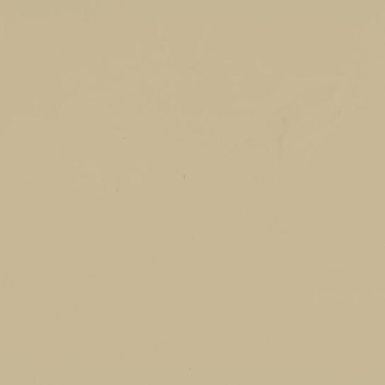 PXQZ936 吉王米黃 